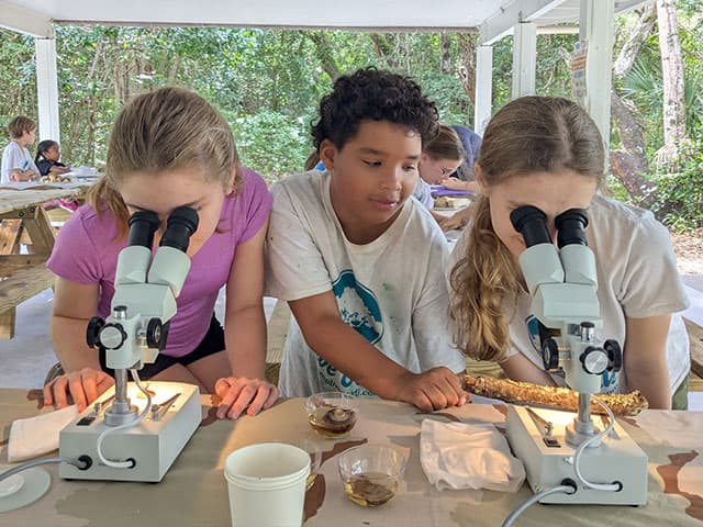 Summer Day Camp Program